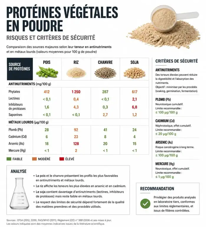 Infographie des risques et critères de sécurité des protéines végétales en poudre