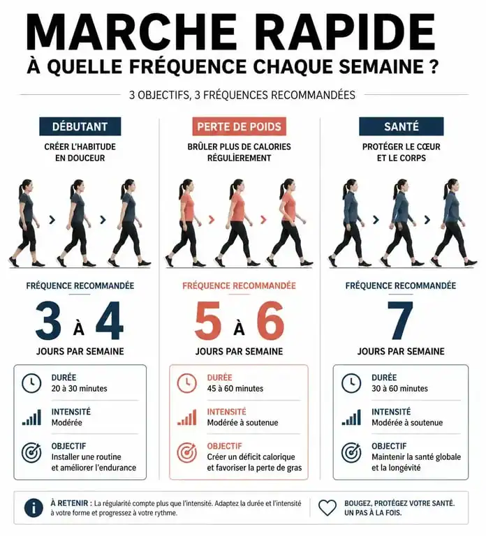 Infographie des recommandations de fréquence pour la marche rapide par objectif