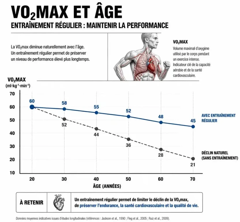 Graphique illustrant l'évolution de la VO2max avec l'âge et l'impact de l'entraînement physique