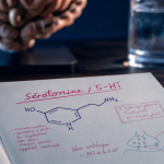 Qu est ce que la serotonine : intestin, humeur, 5-HT
