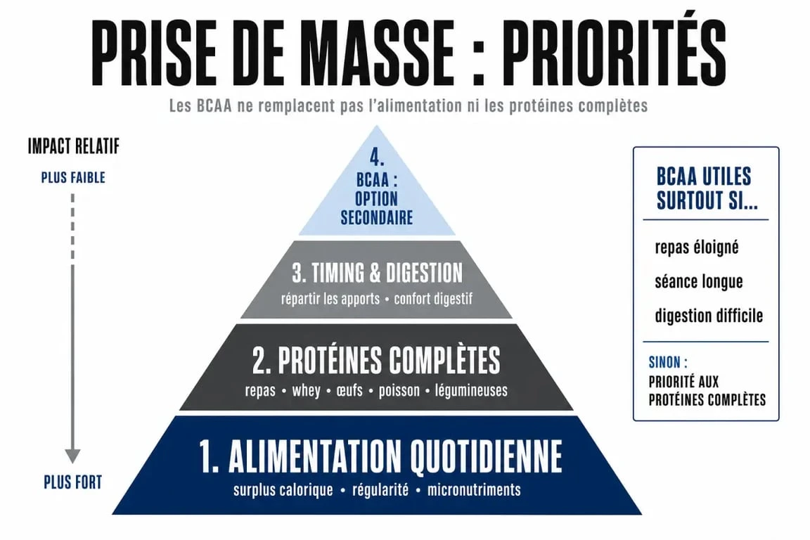 BCAA prise de masse : schéma comparatif entre BCAA, whey et protéines alimentaires