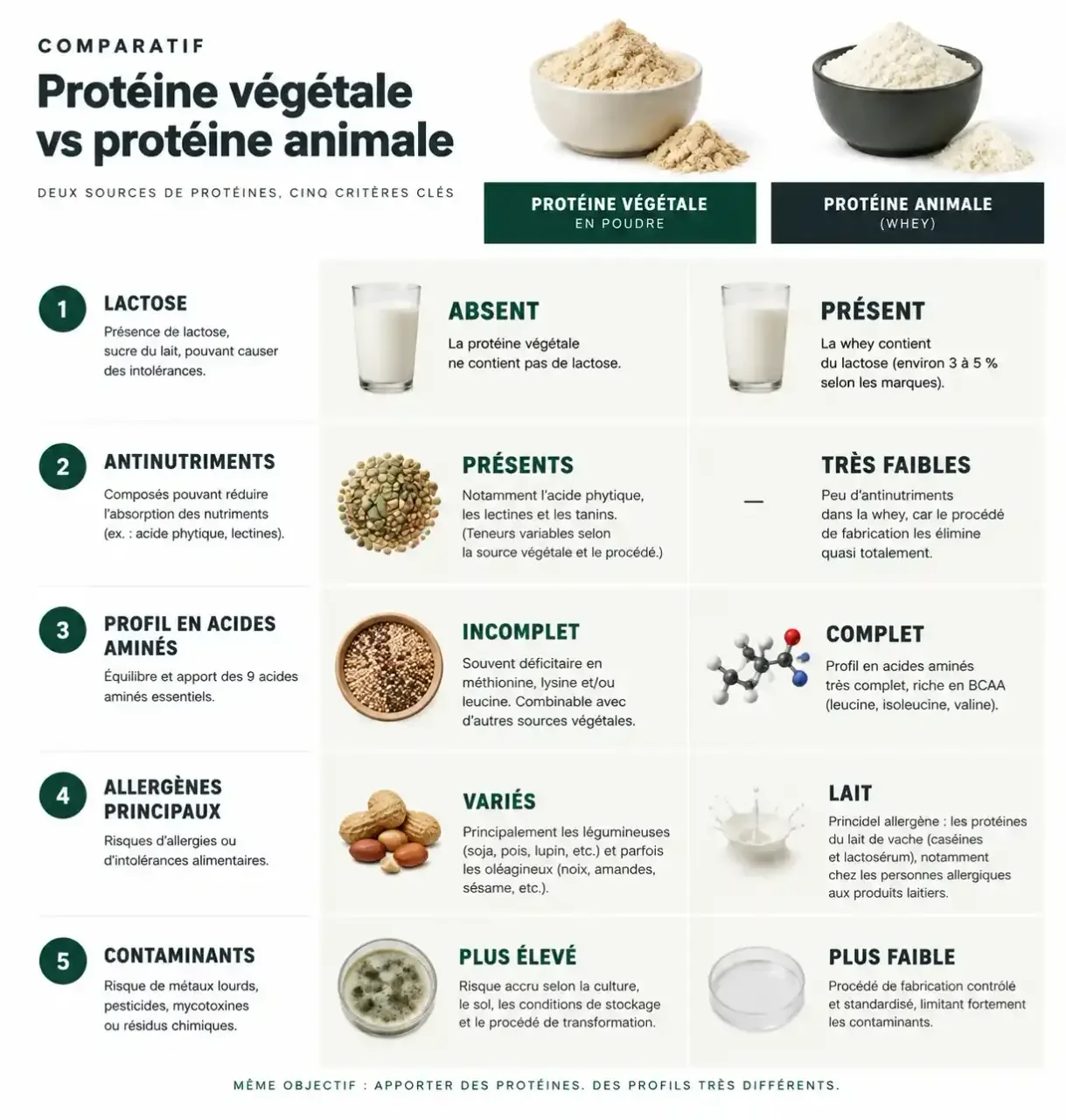 Comparaison des risques entre protéine végétale en poudre et protéine animale : lactose, antinutriments, acides aminés, allergènes et contaminants